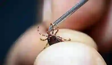 Sivas’ta KKKA tanısı konulan 8 kişiden 1’i hayatını kaybetti