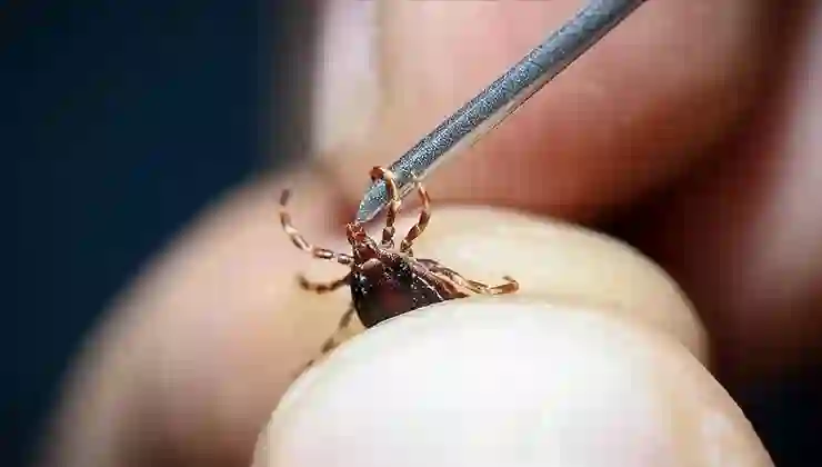 Sivas’ta KKKA tanısı konulan 8 kişiden 1’i hayatını kaybetti