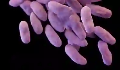 “Süper antibiyotik” için geri sayım başladı: Milyonlarca hayat kurtarabilir