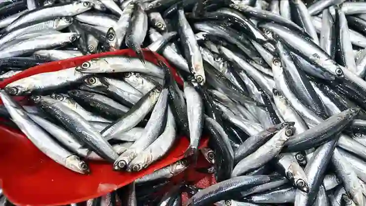 Türkiye’de, 4 ayda 4,7 milyon dolarlık hamsi ihracatı yapıldı!