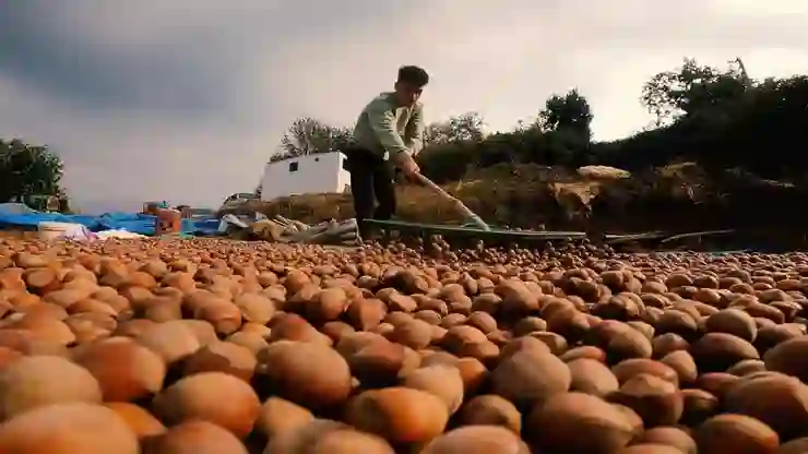 TZOB Genel Başkanı Bayraktar, zirai dondan etkilenen fındık bahçelerini inceledi