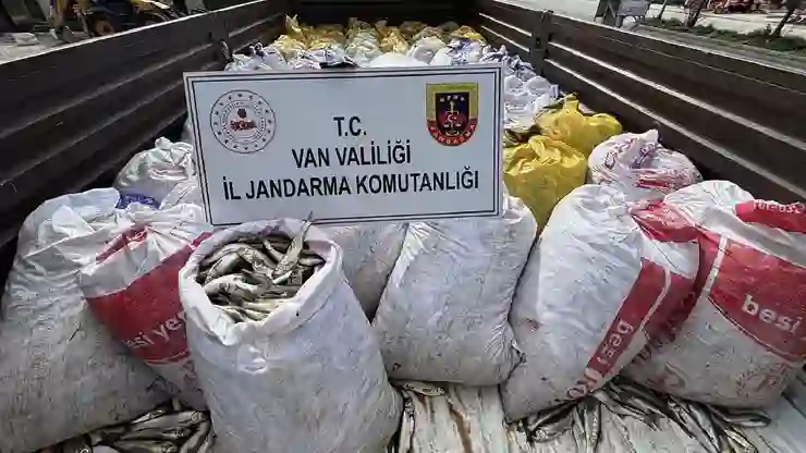 Van’da 3 ton 820 kilo kaçak avlanılan inci kefali ele geçirildi!
