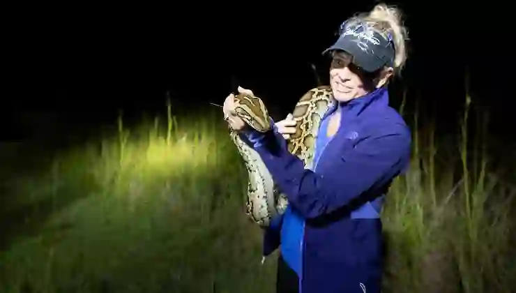 ABD’de piton istilası: Otobüs dolusu yılan öldürüldü