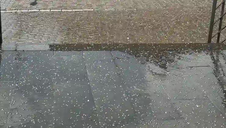 Ağrı’da dolu yağışı etkili oldu