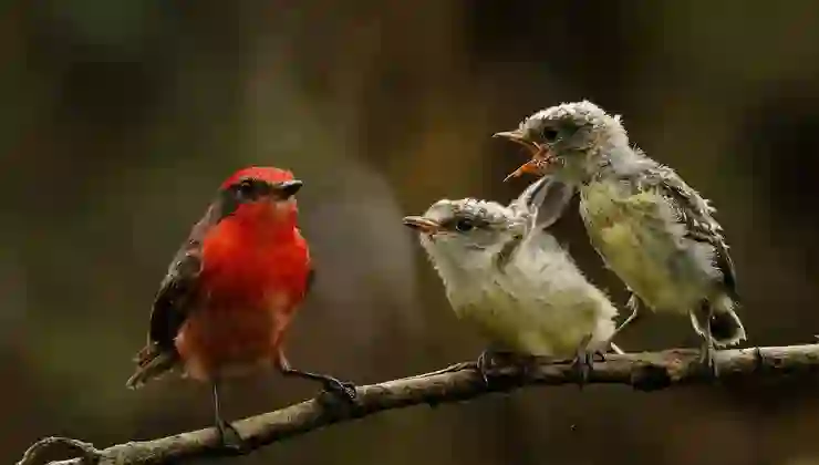Antik Roma’da “fast food” kültürü: Atıştırma olarak kızartılmış kuş yiyorlardı