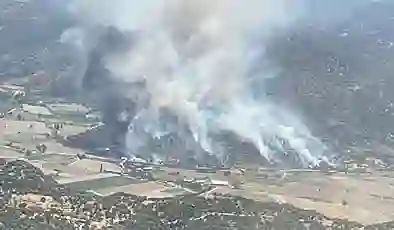 Aydın, Edirne ve Manisa’da yangın