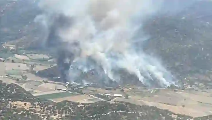 Aydın, Edirne ve Manisa’da yangın