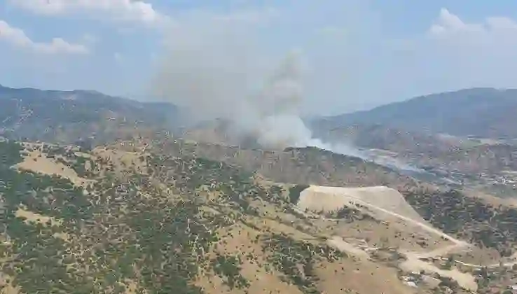 Aydın’da orman yangını hızla ilerliyor: Bir mahalle boşaltıldı