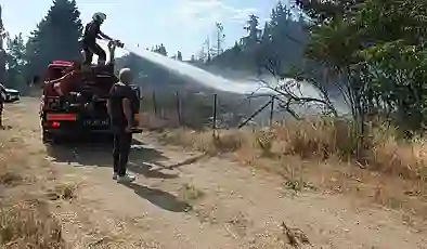 Burhaniye’de otluk yangını