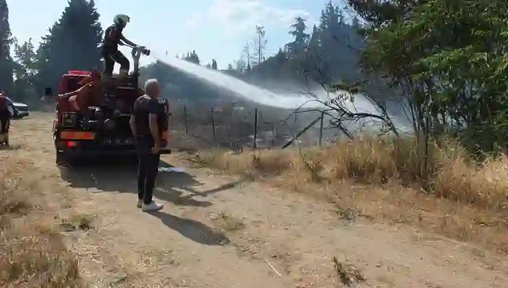 Burhaniye’de otluk yangını