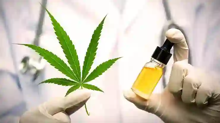 Eczanelerde tıbbî kenevir satılacak