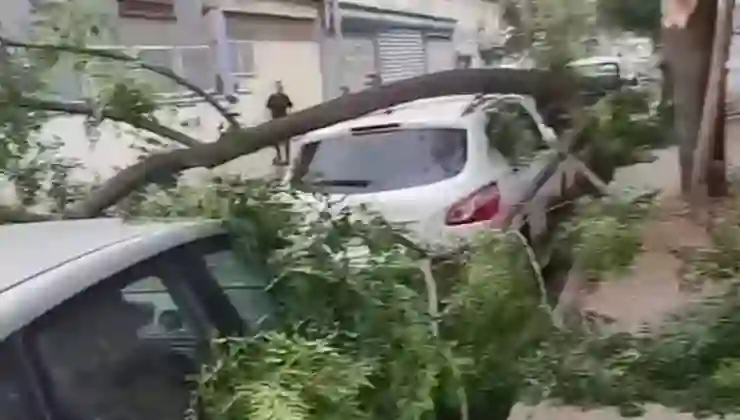 Gaziantep’te fırtına: Ağaçlar araçların üzerine devrildi