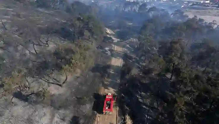 İzmir’i yakan hata! 11 saat boyunca alev alev yandı, bir kişi gözaltında