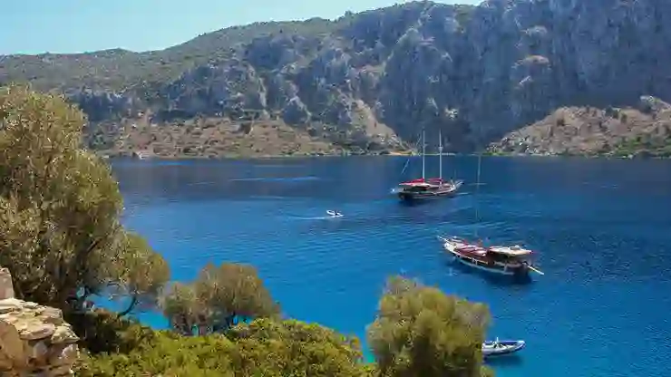 Kıyılarda Yeni Tehdit: Orman Alanlarının Turizme Tahsisi Mümkün Kılındı, Anayasa ve Kıyı Kanunu Tartışmaya Açıldı