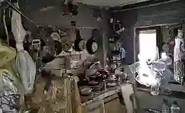 Kötü koku gelen evden 4 kamyon çöp ve onlarca kedi çıktı