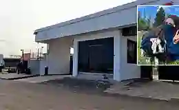 Nur Sena’nın “mezarıma gelmesin” dediği araştırma görevlisine uzaklaştırma