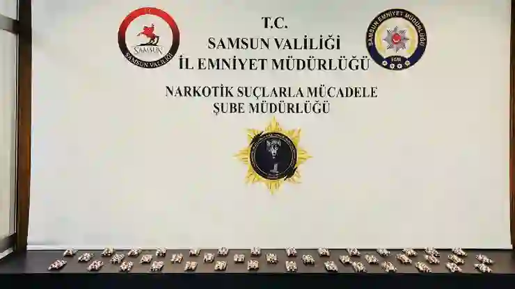 Samsun’da uyuşturucu operasyonunda 2 bin 300 sentetik ecza ele geçirildi