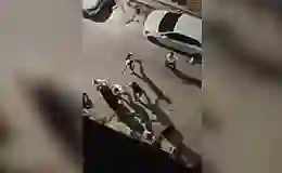 Şanlıurfa’da pala ve silahlı kavga