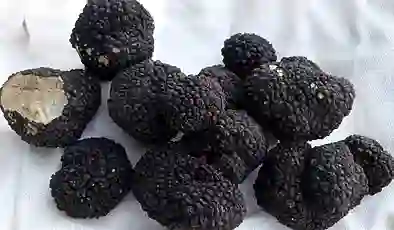 Trüf mantarı Türkiye ekonomisine 650 milyon lira katkı sağladı