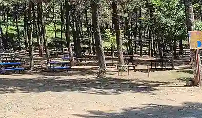 Türkiye genelinde 47 ilde ormanlara giriş yasaklandı