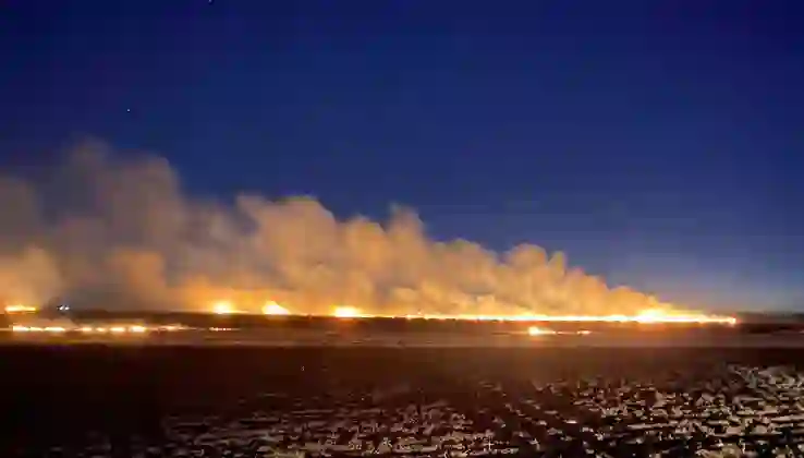 Anız 60 dönüm tarım arazisini kül etti