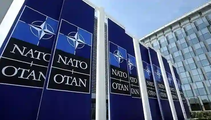 Avusturya Dışişleri Bakanı’ndan NATO açıklaması: Dünya değişti