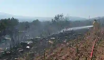 Aydın Karacasu’da zeytinlik alanda yangın: 300 zeytin ağacı zarar gördü