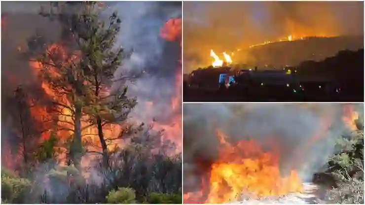 Bakan Kurum’dan yangın bilançosu: İzmir’de 110 konut ağır hasarlı, tespit çalışmaları sürüyor