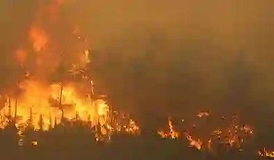 Bakan Yumaklı’dan sıcaklık ve orman yangını uyarısı