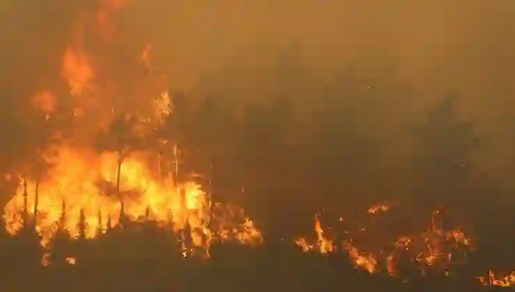 Bakan Yumaklı’dan sıcaklık ve orman yangını uyarısı
