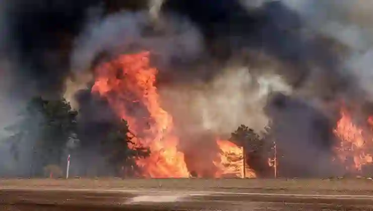 Bursa Büyükşehir Belediyesi uyardı: Yangın yardımı dolandırıcılığına dikkat