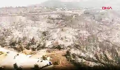 Bursa’daki orman yangını 5’inci gününde kontrol altına alındı