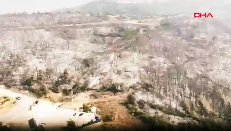 Bursa’daki orman yangını 5’inci gününde kontrol altına alındı