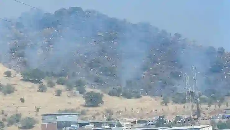 Dikili’de orman yangını: Çanakkale yolu ulaşıma kapatıldı