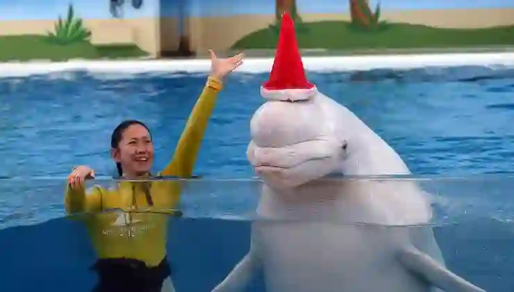 Dünyada ilk kez bir balina ameliyat edildi