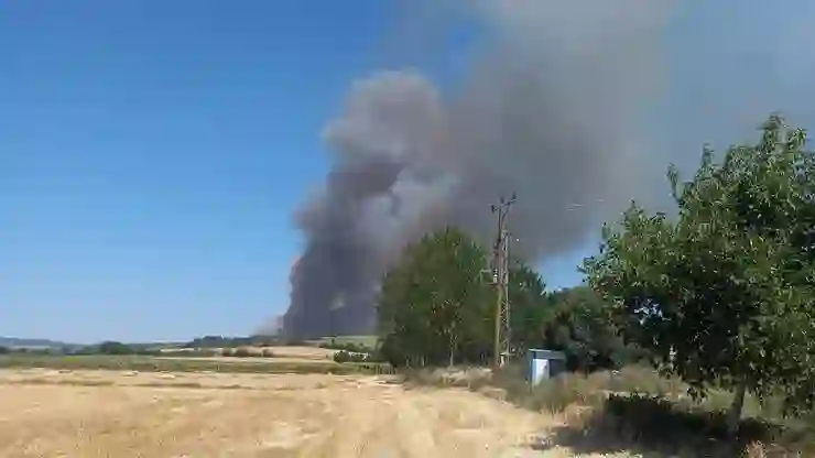 Edirne’de orman yangını