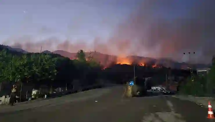 Hatay Dörtyol’da orman yangını sürüyor: Müdahale yeniden başladı