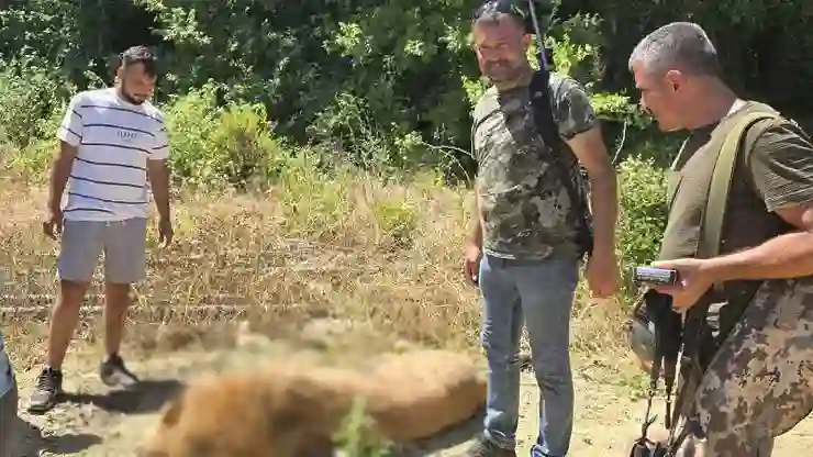 Hayvan parkından kaçan aslan avcılar tarafından öldürüldü!