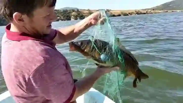 İç sularda yasak bitti, balıkçılar “Vira Bismillah” dedi