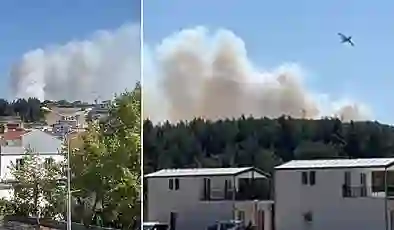 İzmir Urla ve Edirne Keşan’da orman yangını