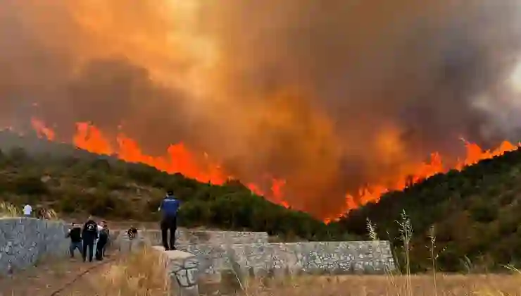 İzmir ve Bursa’da orman yangınları sürüyor