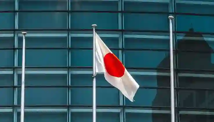 Japonya’da göçmen karşıtı partiden sürpriz çıkış