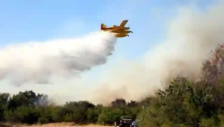 Kırklareli’de anız yangını ormana sıçradı