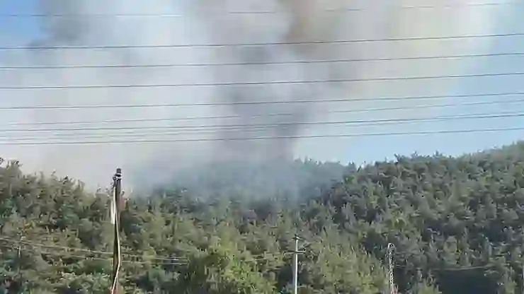 Manisa’da orman yangını: Havadan ve karadan müdahale sürüyor