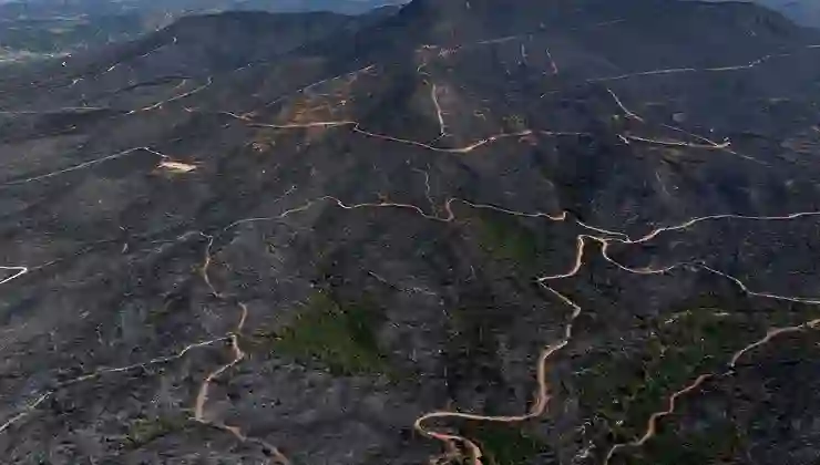 Menderes ve Seferihisar’daki yangından geriye siyah örtü kaldı
