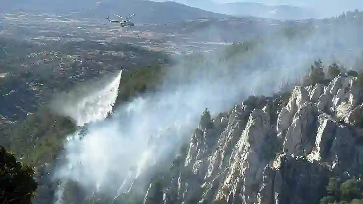 Milas’ta ikinci orman yangını