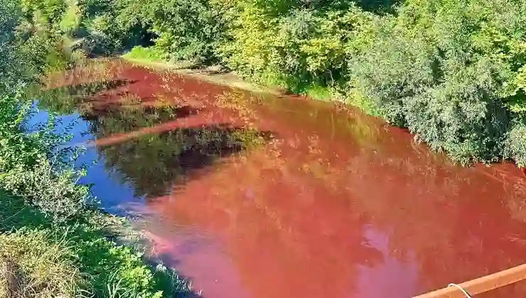 Mudurnu Çayı’nın rengi kırmızıya döndü