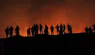 Orman yangınlarında ağır tablo: 407 konut yıkık ve ağır hasarlı