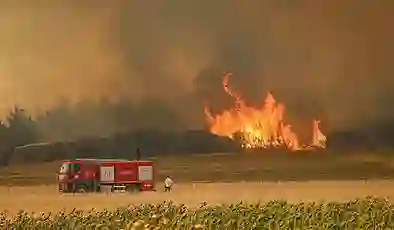 Tekirdağ ve Balıkesir’de alevlerle mücadele: Bin 320 kişi tahliye edildi