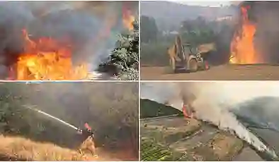 Türkiye’de yılın başından itibaren çıkan 3 bini aşkın yangının yüzde 25’i son 10 günde yaşandı!